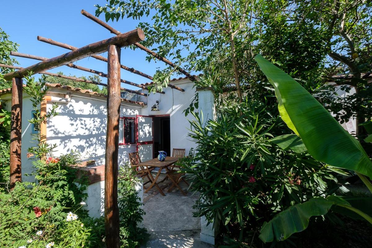 La Rosa Dei Venti Lejlighedshotel Procida Eksteriør billede