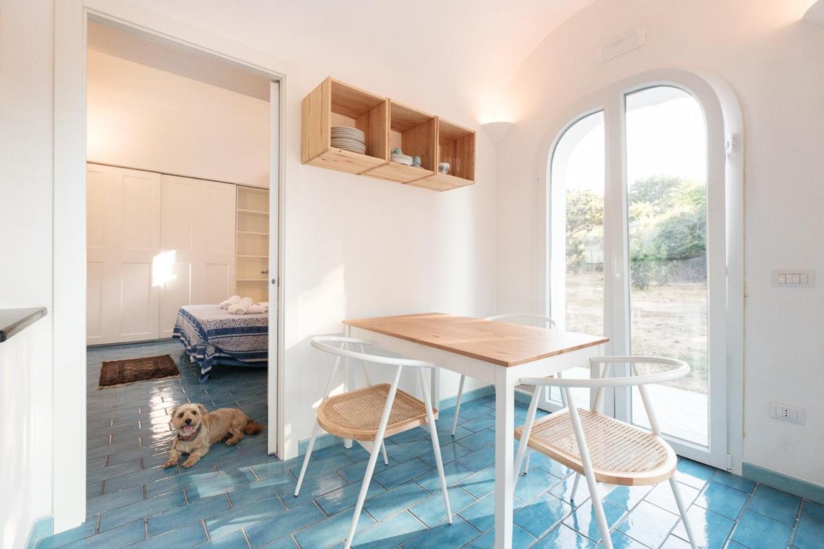 La Rosa Dei Venti Lejlighedshotel Procida Eksteriør billede