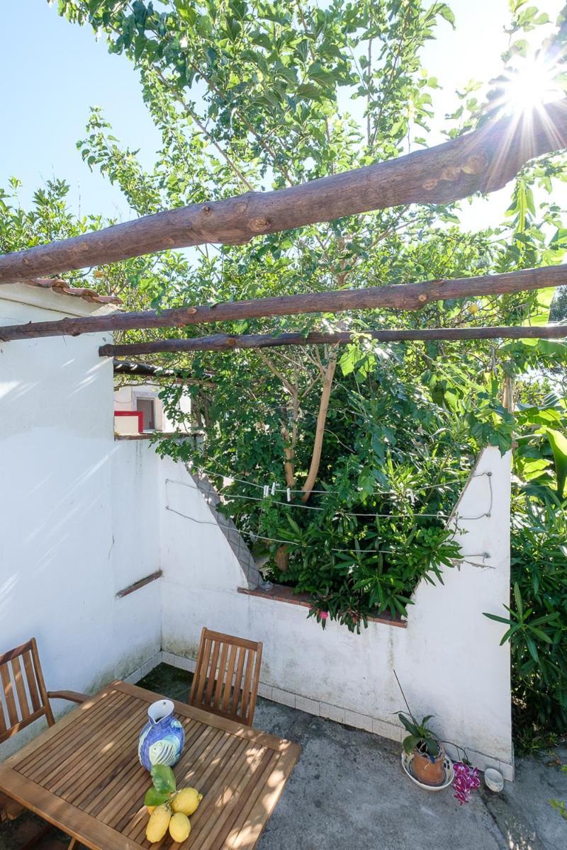 La Rosa Dei Venti Lejlighedshotel Procida Eksteriør billede