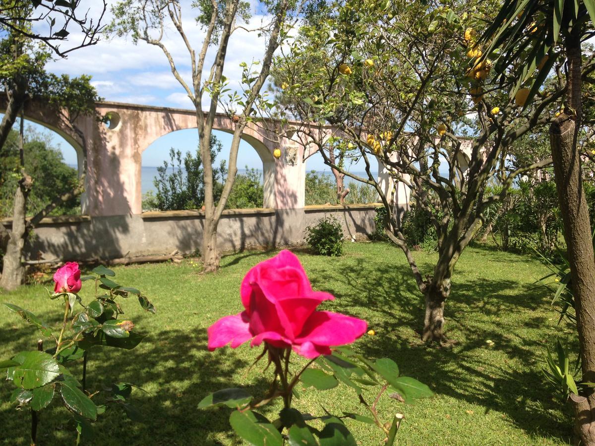 La Rosa Dei Venti Lejlighedshotel Procida Eksteriør billede